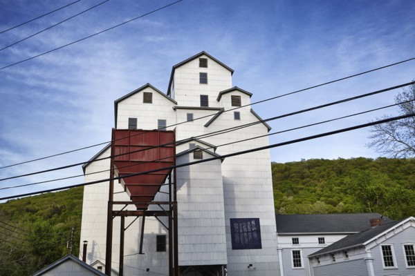 The Wassaic Project