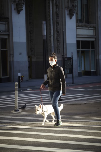 New York during the Covid-19 epidemic