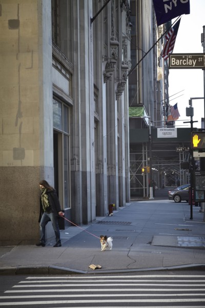 New York during the Covid-19 epidemic