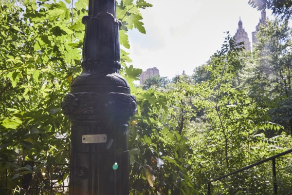 Reportage : le secret des lampadaires de Central Park