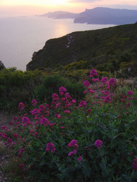Baie de Cassis