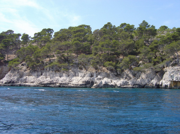 Cassis