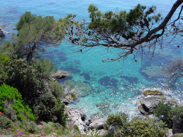 Provence