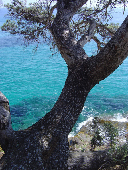 Provence
