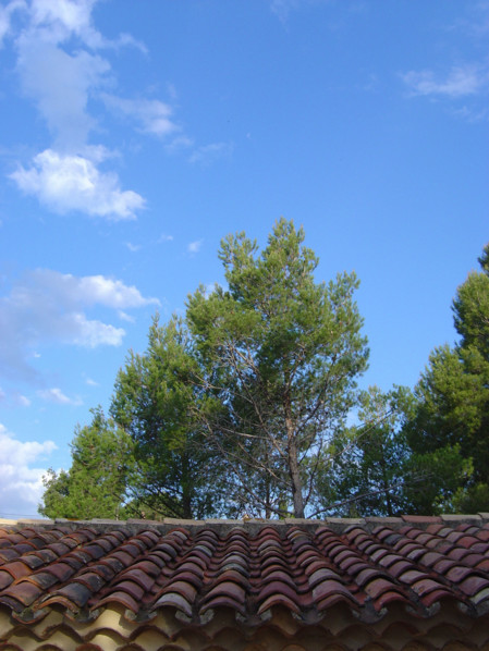 Provence