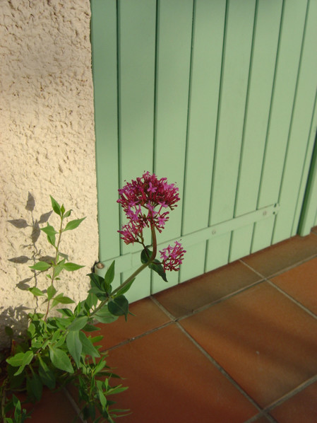 Provence