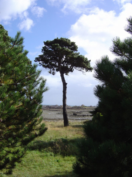 Bretagne, Côte de granit rose