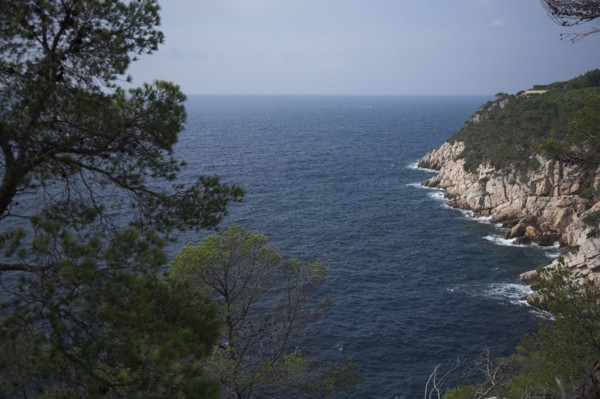 Provence322 Côte varoise, Méditerranée, pins maritimes, calanques, printemps
