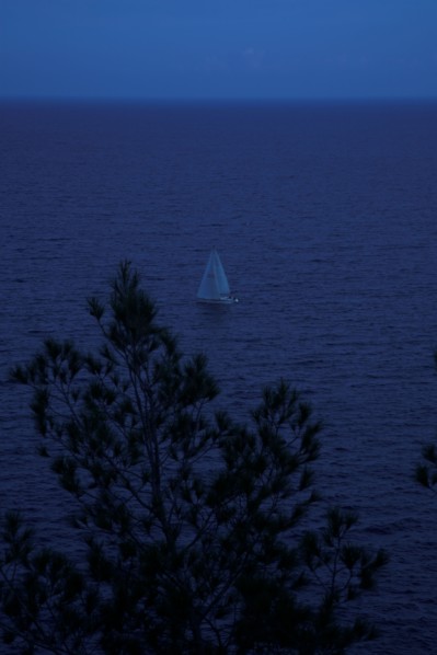 Provence326 Voilier en Méditerranée, pins maritimes, "nuit américaine"