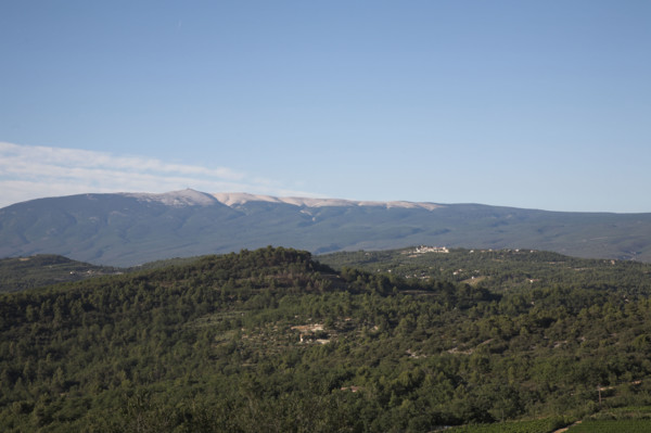 Provence452 Provence, collines provencales, Mont Ventoux, face sud, été