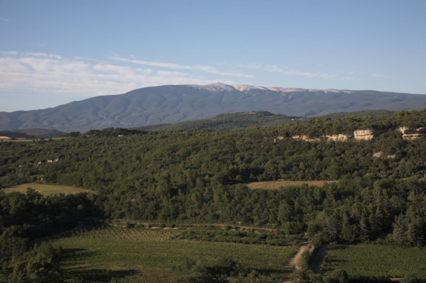 Provence454 Provence, collines provencales, Mont Ventoux, face sud, été