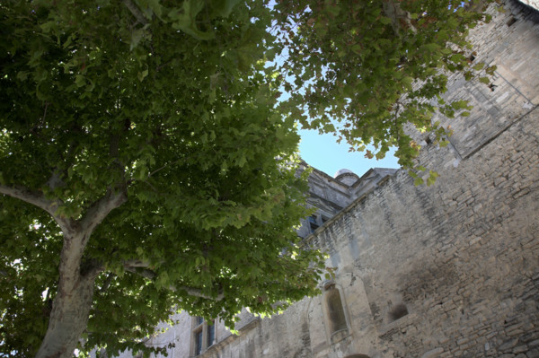 Provence484 Provence, Luberon, village de Gordes, murs du château, platanes, été