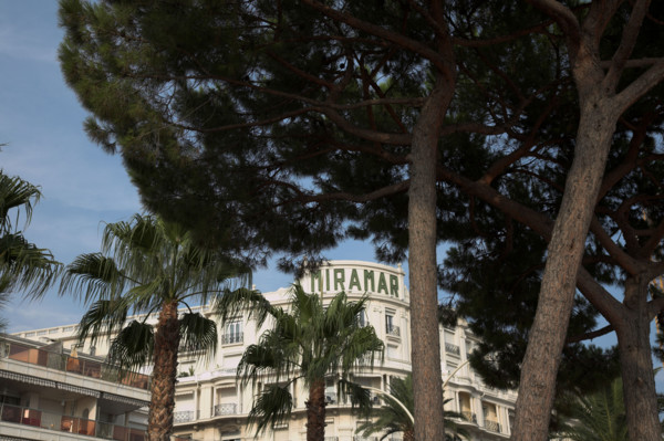 CoteAzur047 Cannes, la Croisette, palmier et façades, Hôtel Martinez