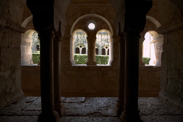 Provence809 Abbaye du Thoronet, le cloître vu depuis la salle capitulaire : arcades géminées,