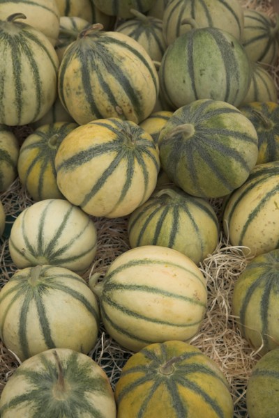 Provence741 Marché de Provence, melons
