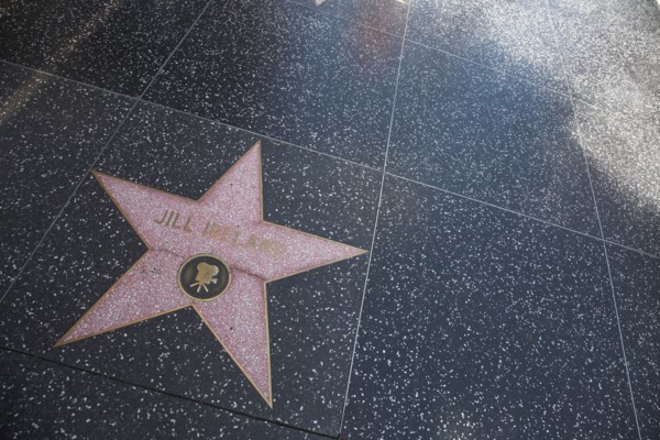 Hollywood Boulevard, Walk of Fame, stars / étoiles : Jill Ireland
