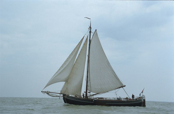 Voilier sur le lac de l'IJssel