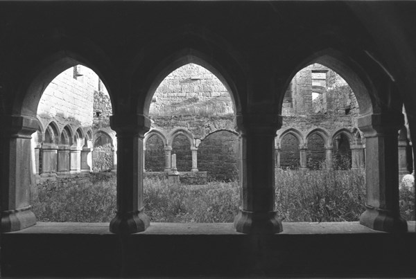 Cloître de la Moyne Abbey, en Irlande