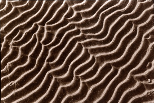 Ondulations dans le sable