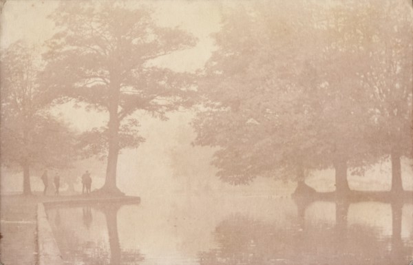 Herbert Park in mist, Dublin