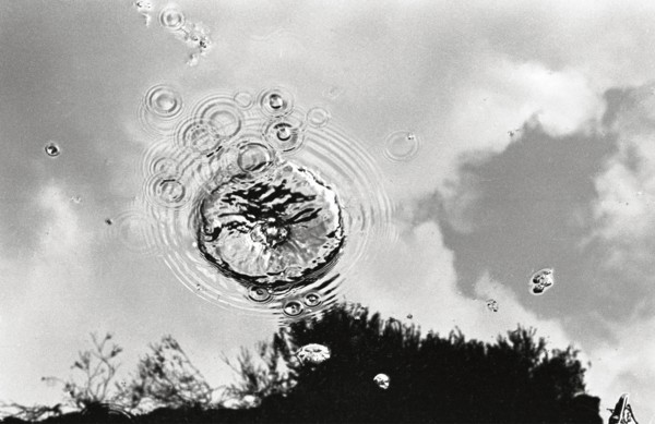 Splash in bog pool