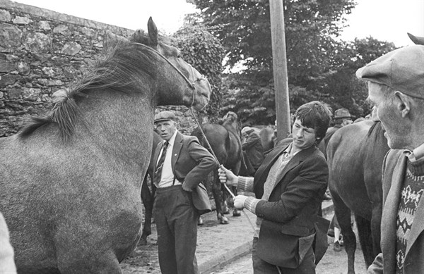 Horse trading, Killorglin, County Kerry