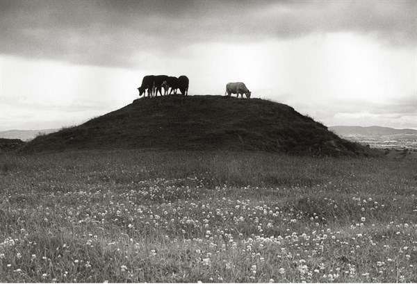 Tumulus, Cloonlara, Irlande