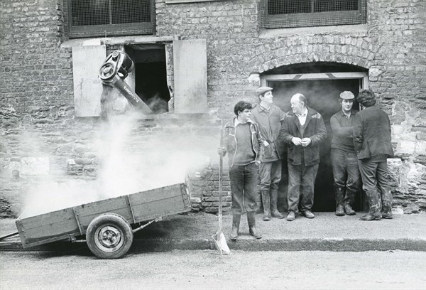 Collecting malt from brewery, Cork