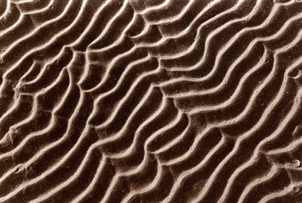 Rides dans le sable
