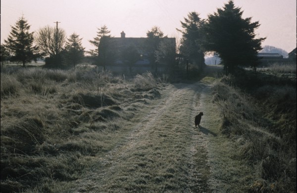 Matin d'hiver en Irlande