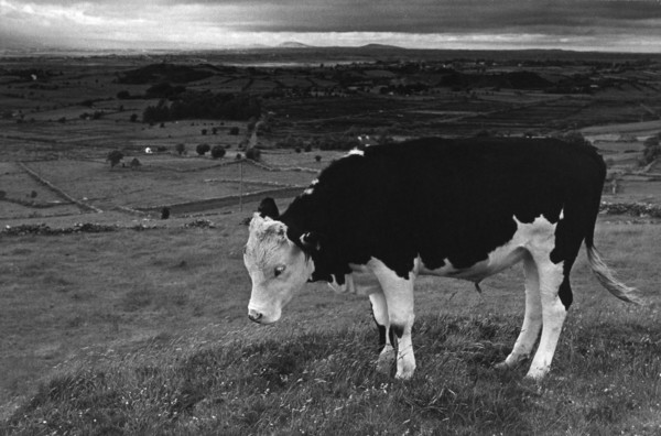 Cloonlara, County Mayo