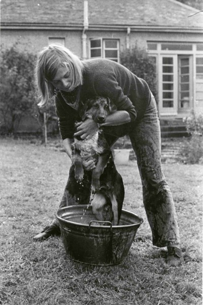 Washing dog