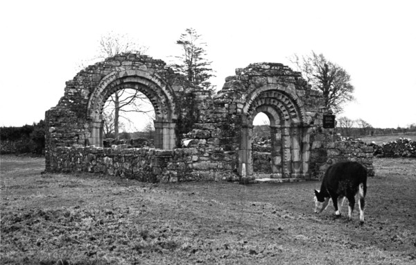 Clonmacnoise, County Laois