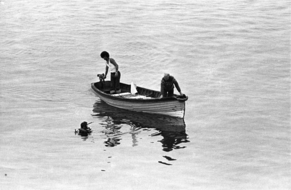 Plongeur dans la baie de Dublin