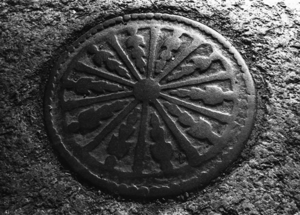 Cellar cover, Fitzwilliam Street, Dublin