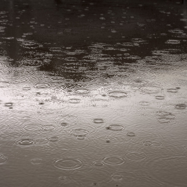 Rain falling on the ground.