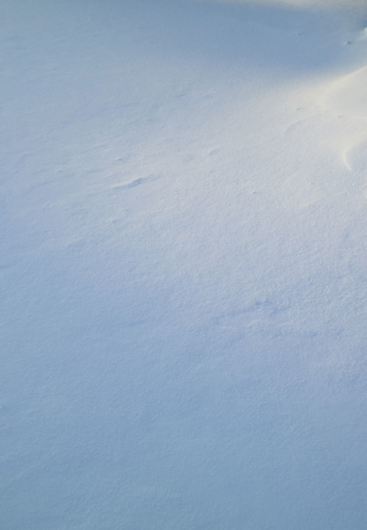 Closeup of fresh snow on ground.