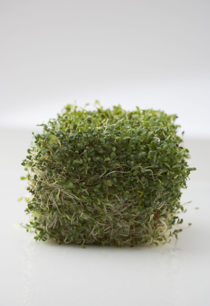 Cube of sprouts.