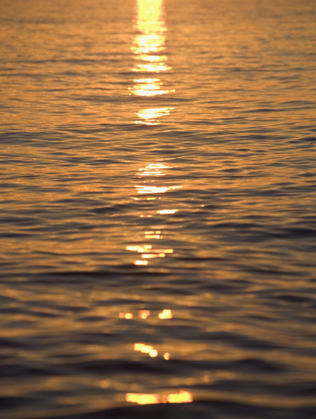 Sunlight reflected on water.