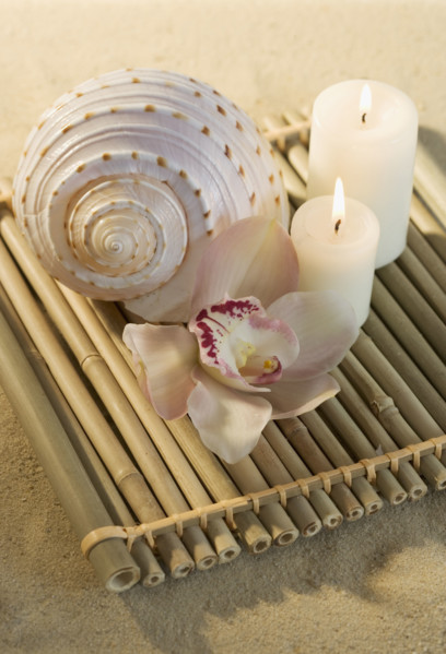 Still life of orchids, candles and seashell.