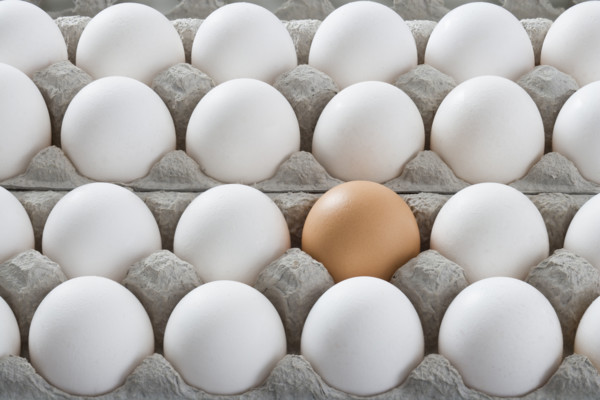One brown egg among many white eggs.