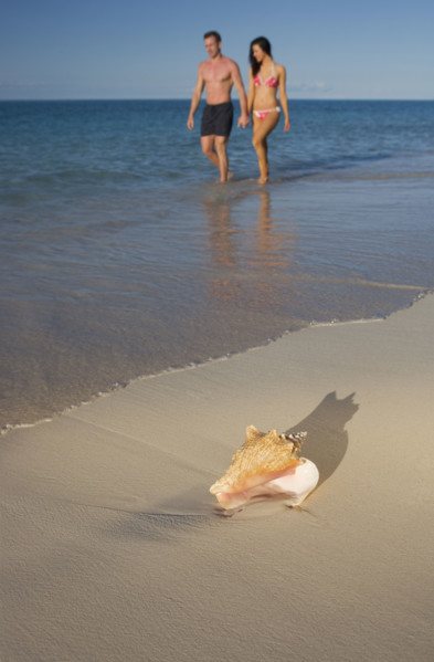 Couple walking the beach.