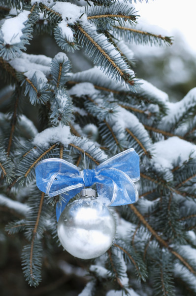 One Christmas ornament hanging in tree.