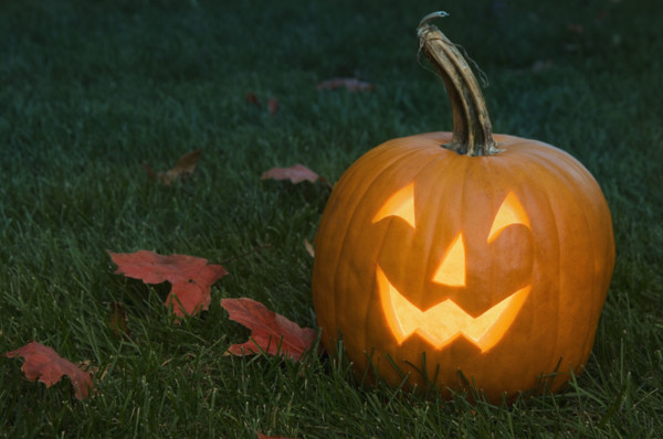 Still life of jack o lantern.