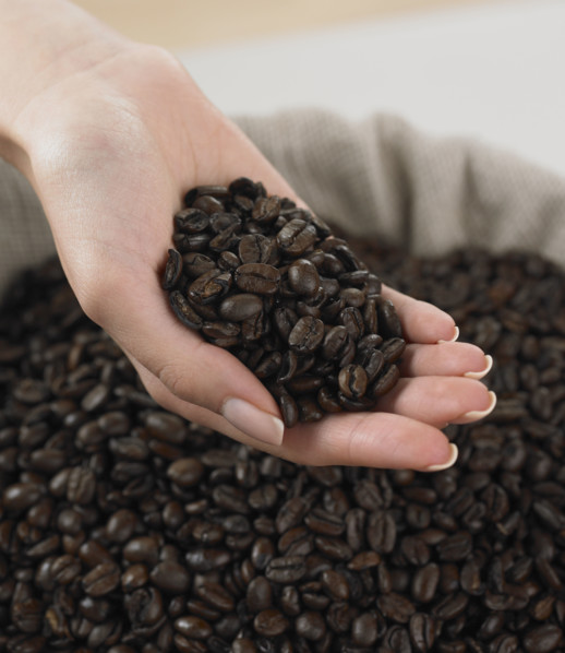 Close up of woman's hand holding coffee beans.