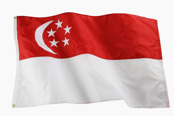 Studio shot of national flag.