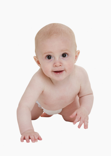 Studio shot of baby crawling.
