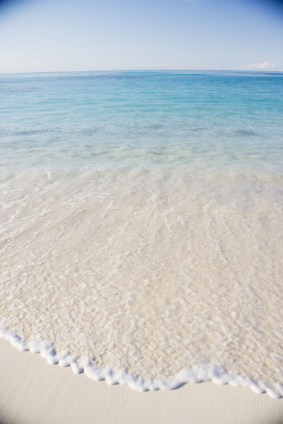 Sandy shoreline. Date : 2006