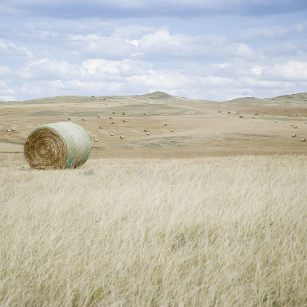 Hay bales southern Montana USA. Date : 2006