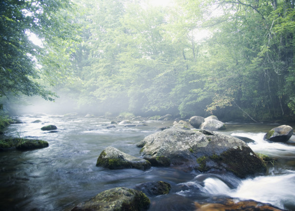Smoky Mountain National Park USA. Date : 2006